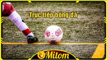mitom - 7m vn