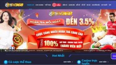 2024 10 31 15 28 27 - 7m vn