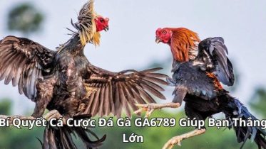 da ga ga6789 - 7m vn