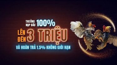  Thomo67 với những chương trình khuyến mãi hấp dẫn