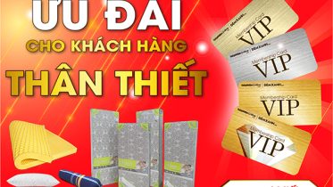 anh 2 1 - 7m vn