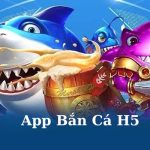 anh dai dien - 7m vn