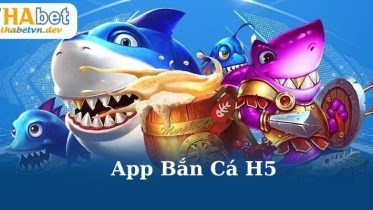 anh dai dien - 7m vn
