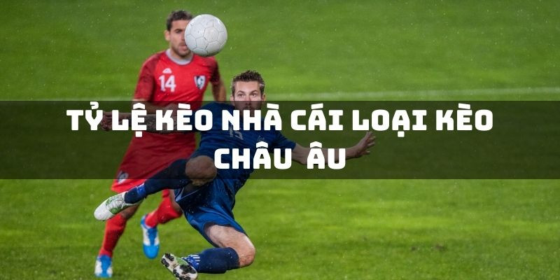 cach choi ty le keo - 7m vn