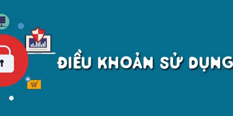 dieu khoan va dieu kien 2 - 7m vn