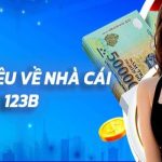 Giới thiệu 123b về tầm nhìn và sứ mệnh